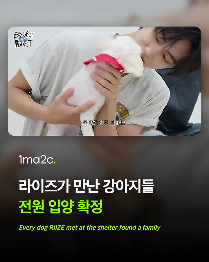 라이즈가 만난 강아지들, 전원 입양 확정 카드 1