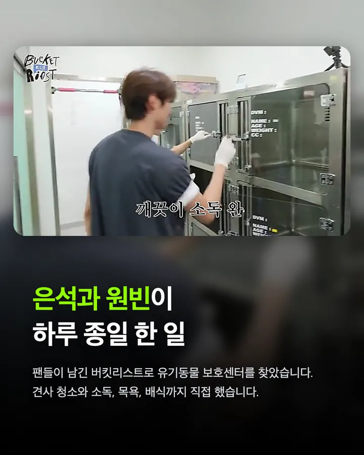 라이즈가 만난 강아지들, 전원 입양 확정 카드 2