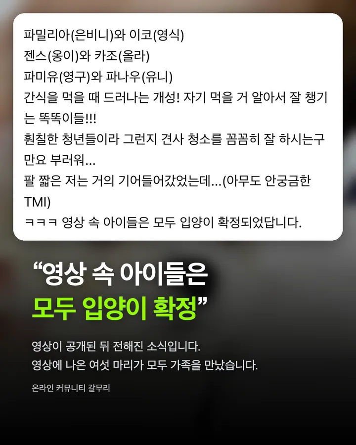 라이즈가 만난 강아지들, 전원 입양 확정 카드 5