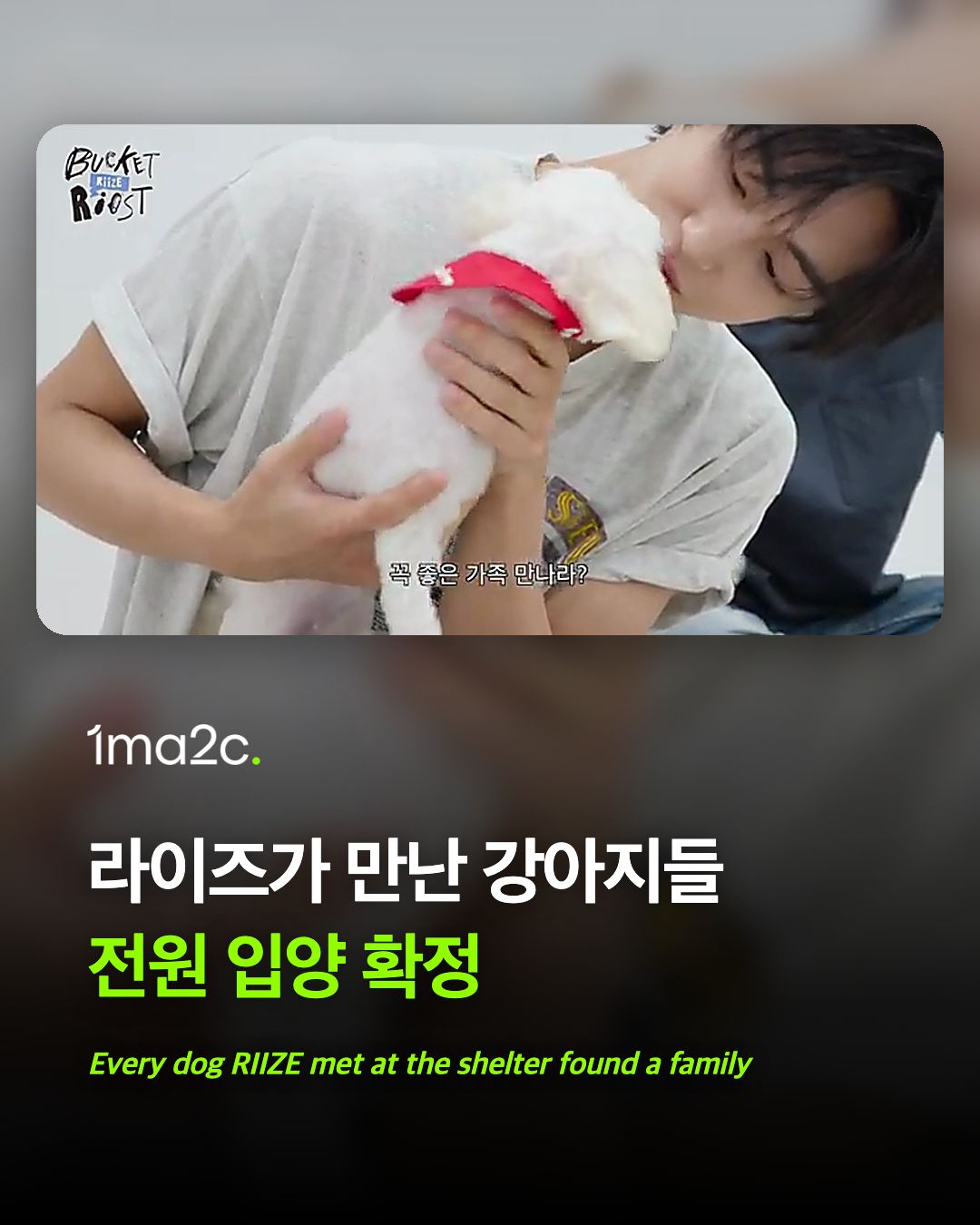 라이즈가 만난 강아지들, 전원 입양 확정